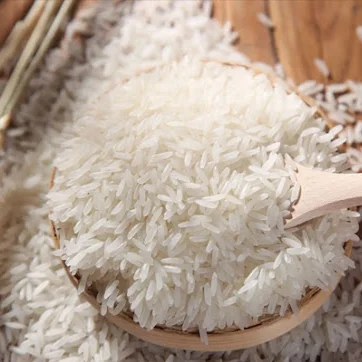 2025 Fortified Nutritional Rice Production Line Small Extruder Equipment with Mixer and Fryer for Grain Products